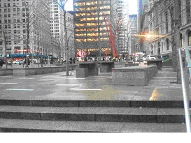 Zucotti Park in Daytime